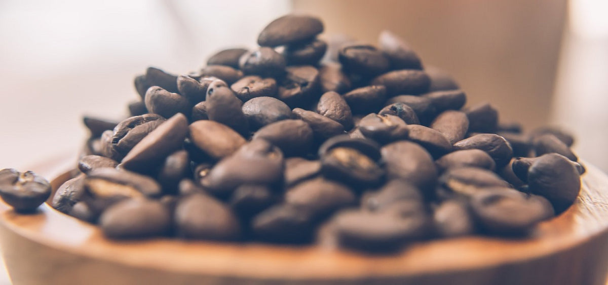 Eclipse Coffee Canada wholesale