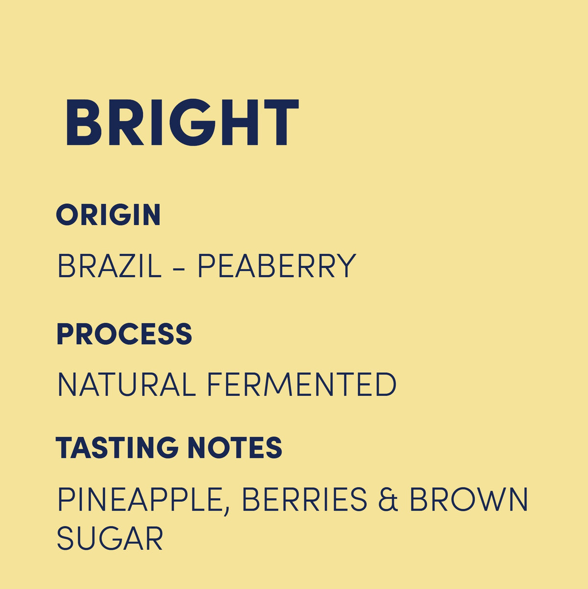 Fazenda Cachoeira Peaberry