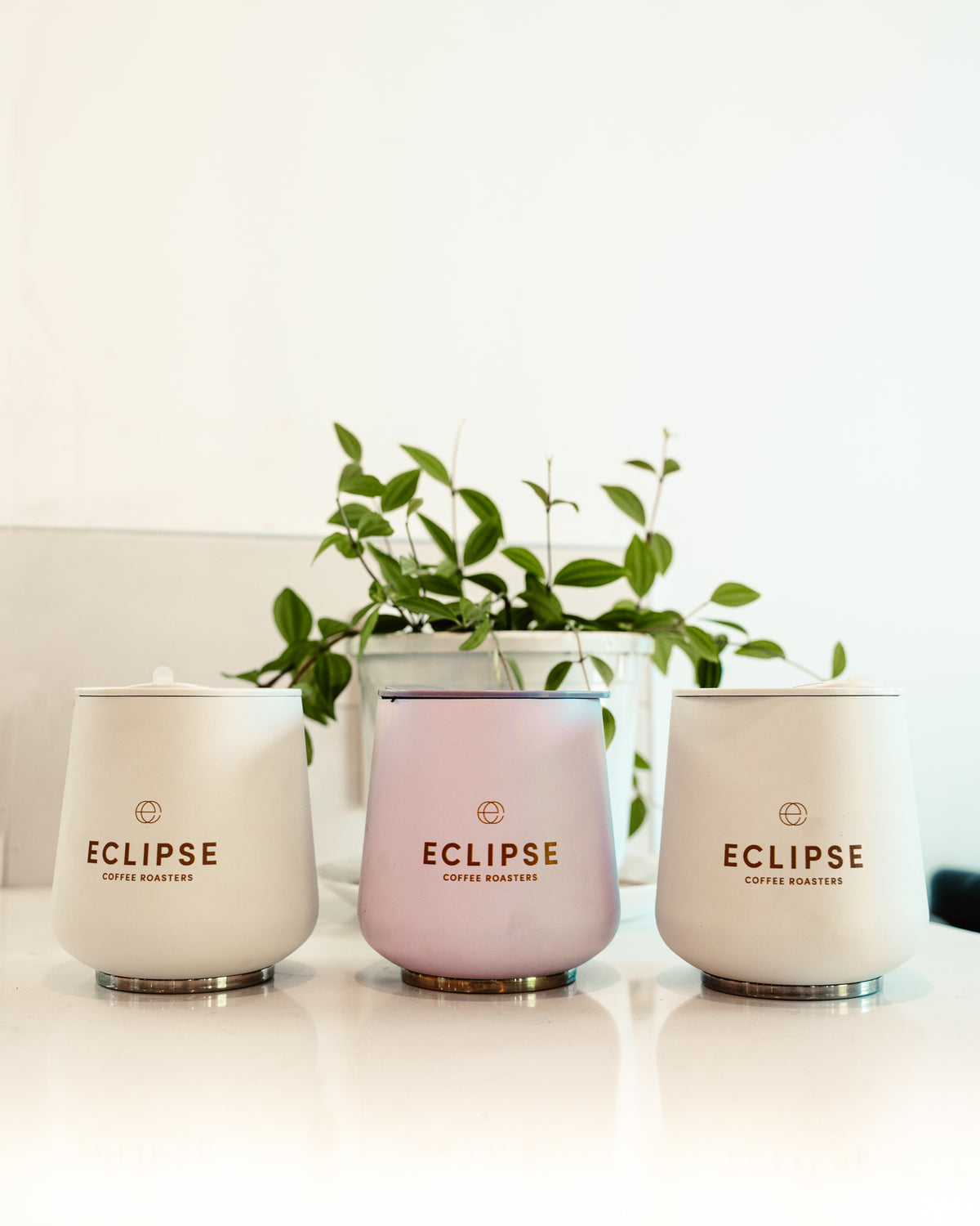 Fellow Ruby Tumbler