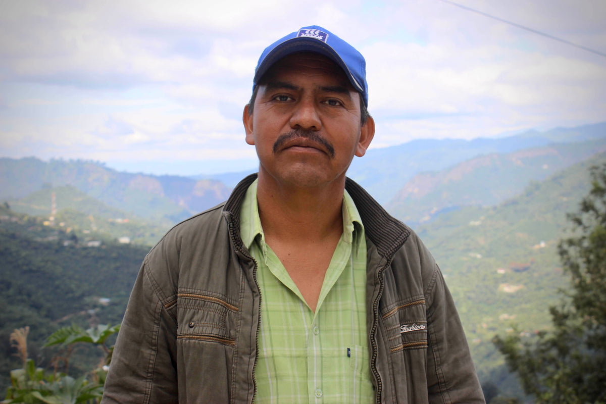 Francisco Mendez Guatemala - Grains de café vert