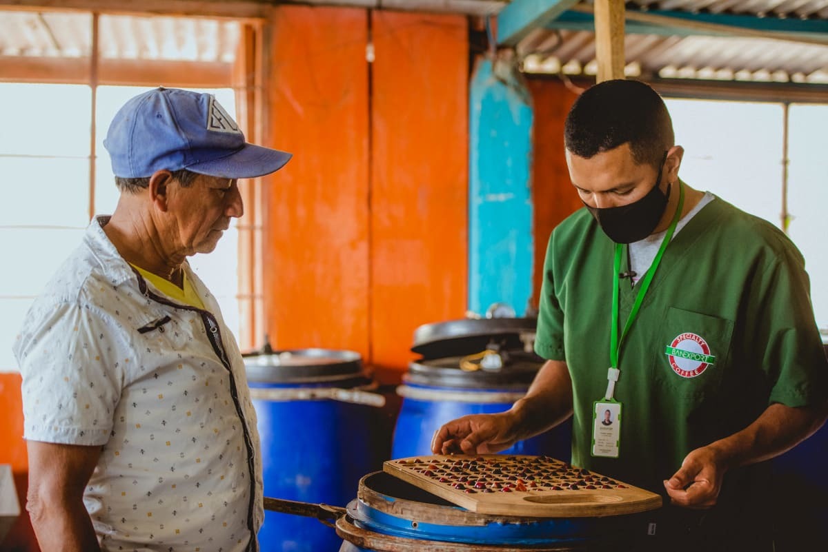 Manos Juntas Micromill Colombia - Café Vert en Grains