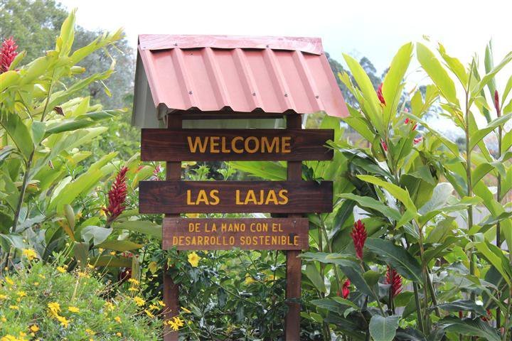 Las Lajas Finca San Luis Costa Rica - Grains de café vert