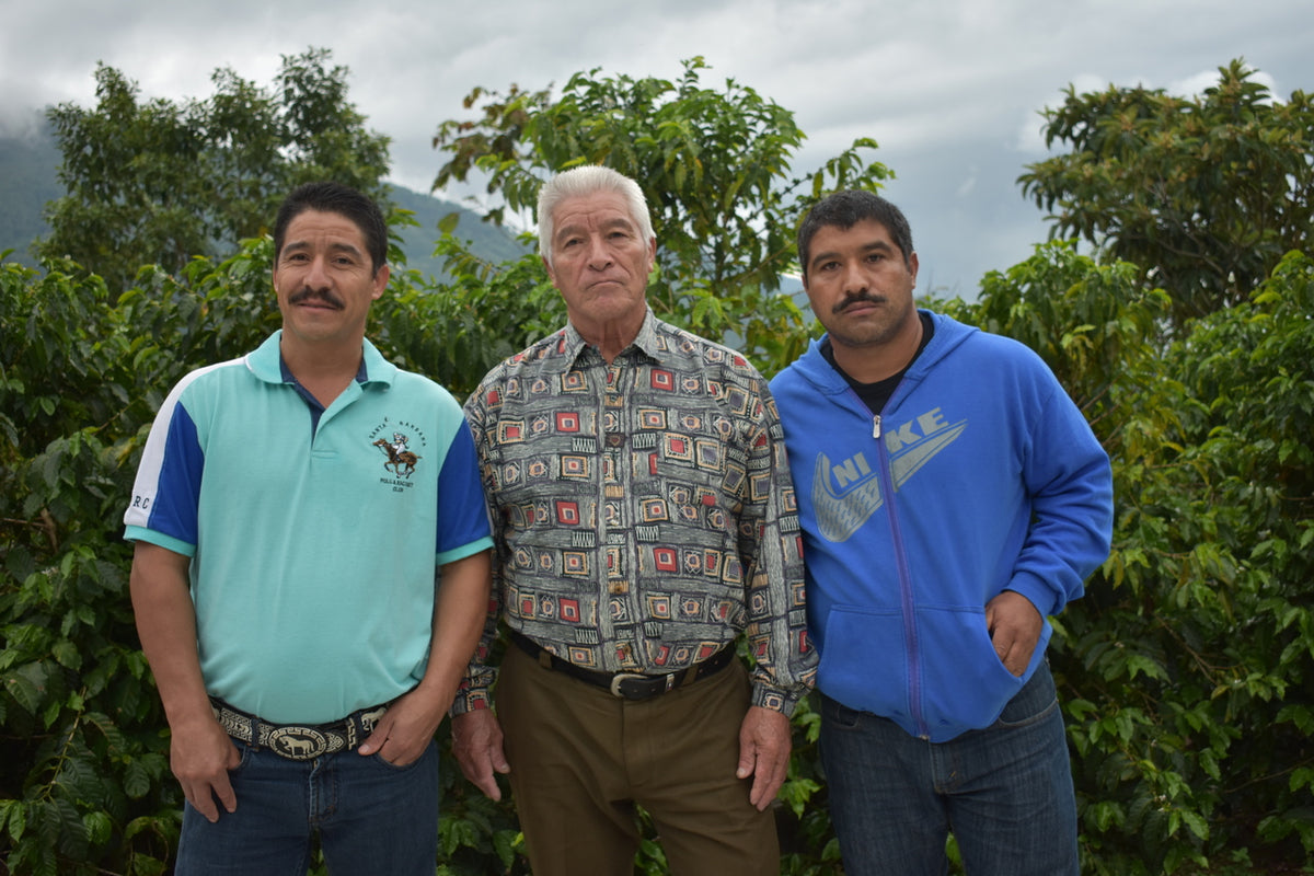 Vista Al Bosque Guatemala - Green Coffee Beans 600g